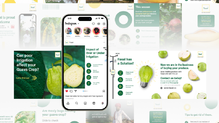 Fasal Social Media & Print Design